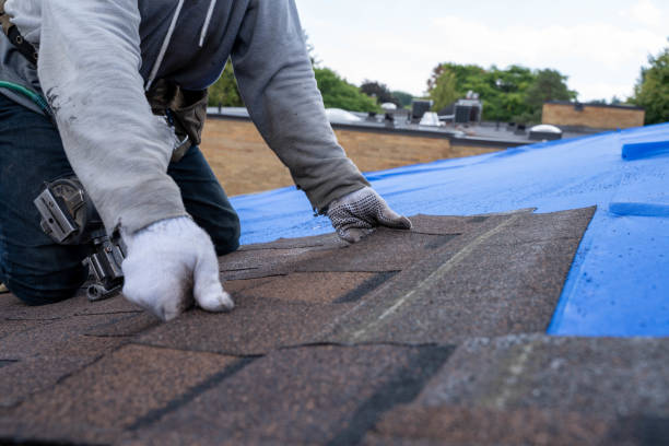 Best Shingle Roofing Installation  in Orangevale, CA