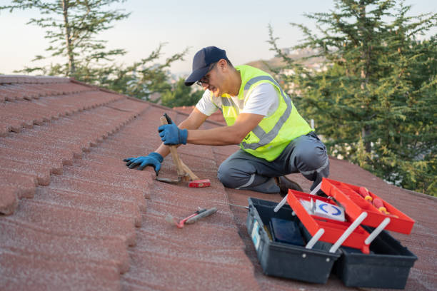 Best Metal Roofing Contractor  in Orangevale, CA